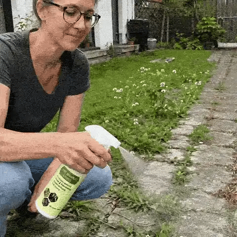 🌼Fast-Acting Natural Weed Killer with Long-Lasting Protection -up